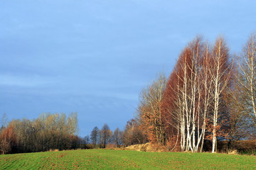 Fototapeta na wymiar Fields and forest spring season landscape of Podkarpacie region in south eastern Poland