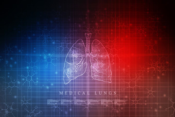 Fototapeta na wymiar Healthy Human Lungs 2d illustration 