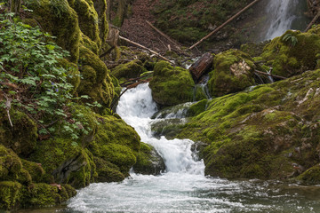 Fototapeta na wymiar Wasser, Wasserfall, Natur