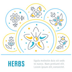 Website Banner and Landing Page of Herbs.