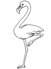 Flamingo Kontur