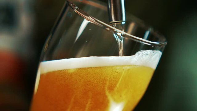Process of pouring beer into glass beaker in grill bar. Alcoholic beverage is poured into transparent glass with help of portioning equipment indoors. Yellow foamed drink is flowing by thin stream