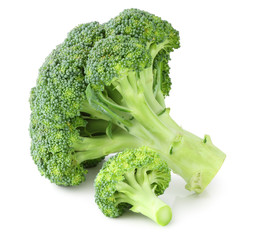 Fresh Broccoli isolated on white background, including clipping path without shade. Germany