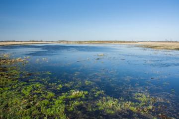 Large meadow flooded with water