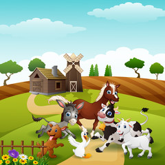 Obraz na płótnie Canvas Animals playing together at farm