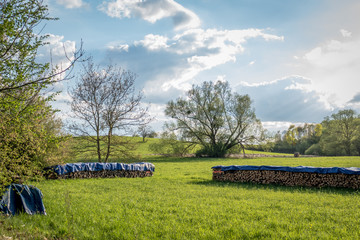 Brennholzlager im Frühjahr © focus finder