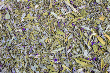 Dry fermented tea of fireweed (Chamerion angustifolium) also known as great willowherb or rosebay willowherb. Traditional Russian Koporye Tea (Ivan Chai). Useful herbal tea