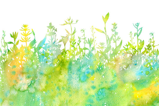 Watercolor background with drawing herbs and flowers