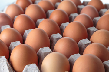 Chicken eggs are fresh in a cardboard package made of recycled waste paper.