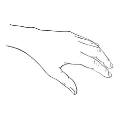 hand drawn woman hand