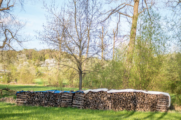 Brennholzlager im Frühjahr