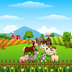 Animals farm in the hills