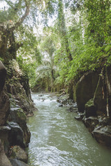 scenic view of river, rocky formations and green plants near Kanto Lampo Waterfall, Bali, Indonesia