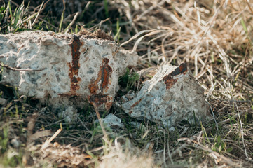 Steppe grass and stones and leaves. Geology concept. Earth science
