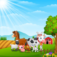 Happy farm animals on daylight