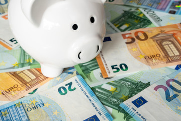 Piggy Bank surrounded by Euro banknotes