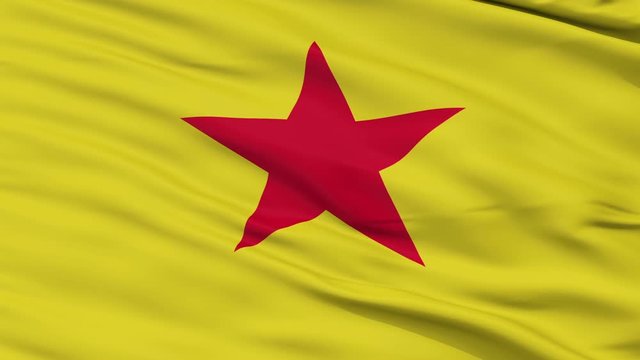 Moheli closeup flag, city of Comoros, realistic animation seamless loop - 10 seconds long