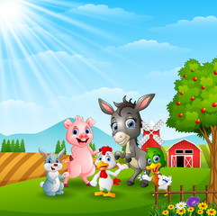 Happy farm animals in daylight
