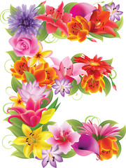 Flower beautiful letter, 6th in Russian alphabet