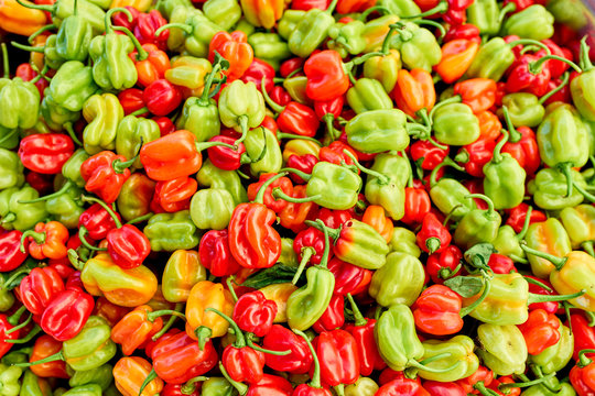 exotic peppers (piments cabri) on local market of Saint-Pierre,