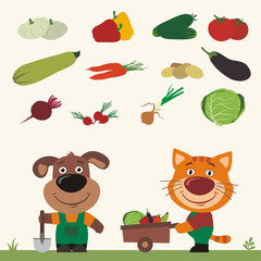 Funny dog and cat farmers. Set of isolated vegetables: squash, peppers, cucumbers, tomatoes, zucchini, carrots, potatoes, eggplant, beets, radishes, cabbage, onions.