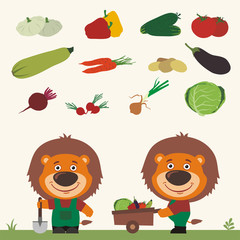 Fototapeta premium Set of isolated vegetables: squash, peppers, cucumbers, tomatoes, zucchini, carrots, potatoes, eggplant, beets, radishes, cabbage, onions. Two funny lions farmers.