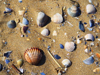  a day of relax by the sea in spring