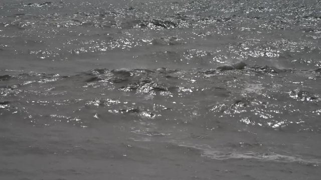 onde fragorose si infrangono sulla spiaggia in una giornata tempestosa  con forti raffiche di vento