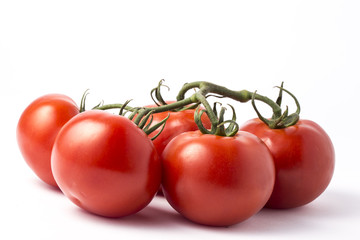 Tomatoes isolated on white background