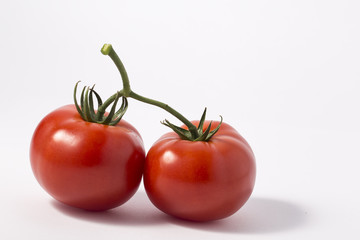 Tomatoes isolated on white background