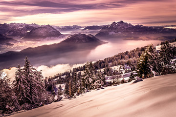 Colorful pink sunset with view on distant mountains and valley with a lake and forest covered by snow in the cold winter