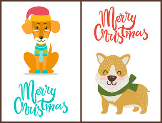 Merry Christmas Banner Congratulation from Pets