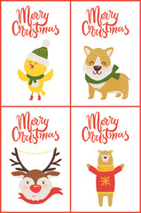 Merry Christmas Collection on Vector Illustration