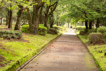運動公園内の歩道