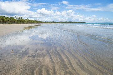 Bright scenic mid-day view of a broad empty beach lined with palm trees on the shore of a remote island in Bahia, Brazil