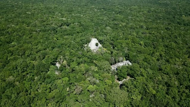 Aerial video flying towards the mayan Calakmul Temple in the Mexican Yucatan. The mayan ruins at Calakmul, Mexico