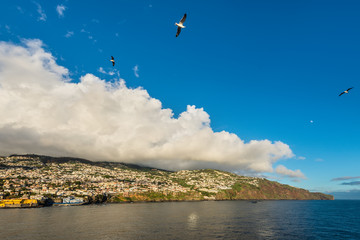 Landscape with Atlantic ocean and hills of Funchal, Madeira, Portugal