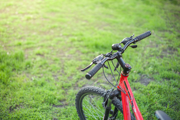 Fototapeta premium Mountain bike of red color with a black rudder on green grass