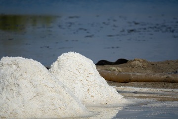 The white salt field on a sunny day. Royalty high-quality free stock footage of white salt field in a beach village. Salt is an important food for people