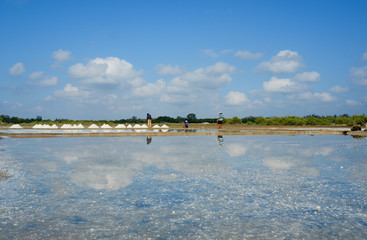 White salt field in sunny day. Royalty high quality free stock footage of white salt field in a beach village. Salt is an important food of people