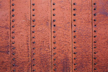 Textured metal door with rivets