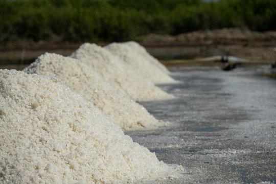 White salt field in sunny day. Royalty high quality free stock image of white salt field in a beach village. Salt is an important food of people