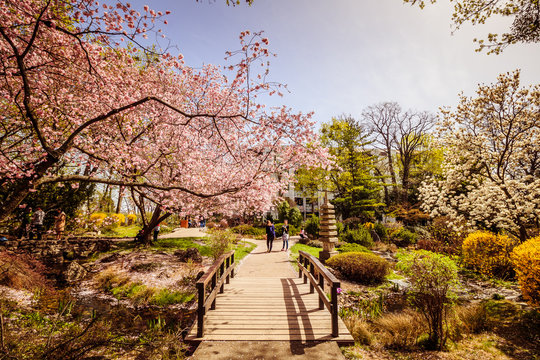 Der Fr&uuml;hlig im Setagaya Park, Wien, &Ouml;sterreich