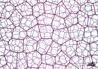 Obraz premium Geometric abstract background with connected line and dots. Structure molecule and communication. Scientific concept for your design. Medical, technology, science background. Eps10 Vector illustration