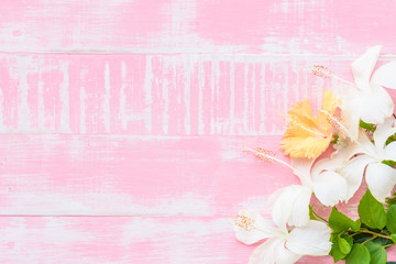 White Hibiscus rosa sinensis Flowers on a pastel bright pink wooden background. Spring and summer concept.