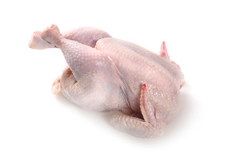 Mięso kurczaka na białym tle