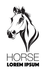 Abstract horses head