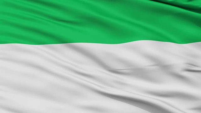 Gran Chaco closeup flag, city of Bolivia, realistic animation seamless loop - 10 seconds long