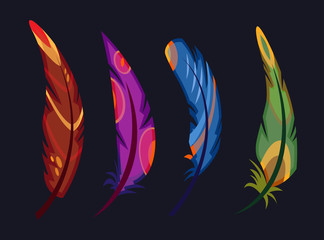 multi-colored bird feathers