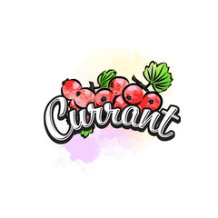 Currant colorful label sign